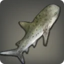 Thavnairian Shark