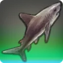 Ghost Shark