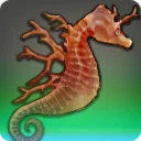 Coral Seadragon