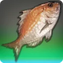 Dravanian Bream