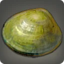 Brightmirror Clam