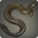 Prospero Eel