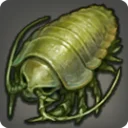 Giant Aetherlouse