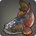 Grade 3 Skybuilders' Hermit Goby