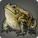 Grade 3 Skybuilders' Steppe Bullfrog