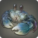 Grade 4 Skybuilders' Goldsmith Crab