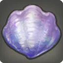 Auroral Clam