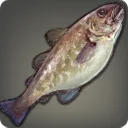 Purpure Cod