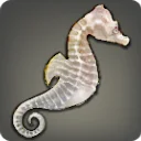 Platinum Seahorse