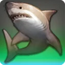 Dusk Shark
