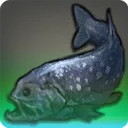 Sunken Coelacanth