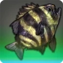 ウィンディ・ダトニオ