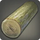 Grade 4 Skybuilders' White Cedar Log