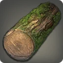 Mossy Log