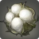 Cotton Boll