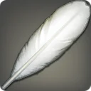 Swan Feather