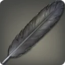 Black Swan Feather