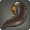 Moor Leech