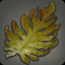 Supremest Kelp