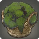 Moss-covered Rock