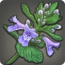 Yak T'el Verbena