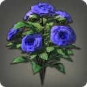 Blue Oldroses