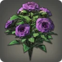 Purple Oldroses