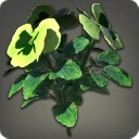 Green Violas