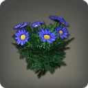 Blue Daisies