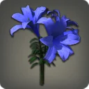 Blue Brightlilies