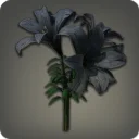Black Brightlilies