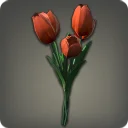 Red Tulips