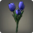 Blue Tulips