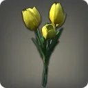 Yellow Tulips