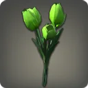 Green Tulips