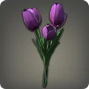 Purple Tulips