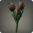 Black Tulips