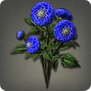 Blue Dahlias