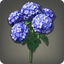 Blue Hydrangeas