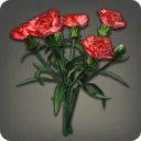 Red Carnations