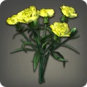 Yellow Carnations