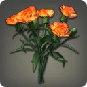 Orange Carnations