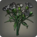 Black Carnations