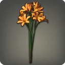 Orange Triteleia