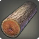 Rarefied Palm Log