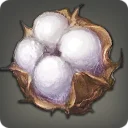 Rarefied AR-Caean Cotton Boll
