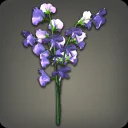 Purple Sweet Peas