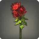 Red Chrysanthemums