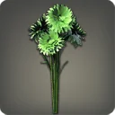 コーンフラワー:グリーン