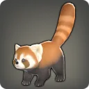 Lesser Panda